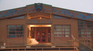 Read more about the article Conservation Officers Call Off Search After Bella Coola Grizzly Attack: 8 Bears Captured, None Responsible